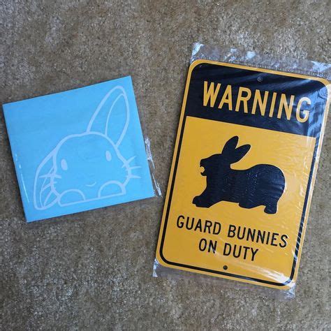 19 Best Rabbit signs images | Instagram posts, Bunny drawing, Crazy bunny lady