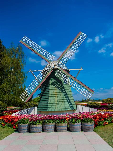 Solve Roozengaarde Windmill Jigsaw Puzzle Online With Pieces