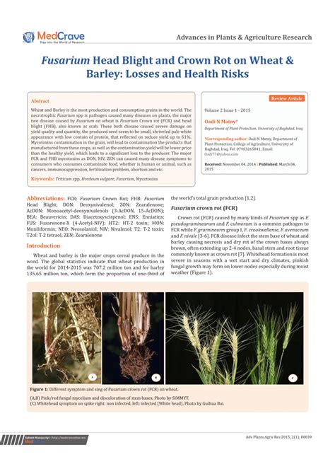 PDF Fusarium Head Blight And Crown Rot On Wheat Barley Losses And