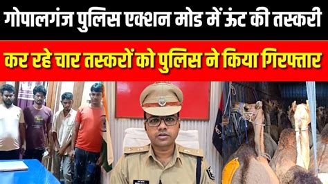 Gopalganj पुलिस एक्शन मोड में ऊंट की तस्करी कर रहे चार तस्करों को Police ने किया गिरफ्तार