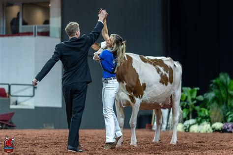 Schluter Atlanta Red Ex 92 Ex 93 Ms Embryosale Embryos