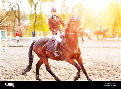 Equestrian Sport Banque De Photographies Et Dimages Haute R Solution