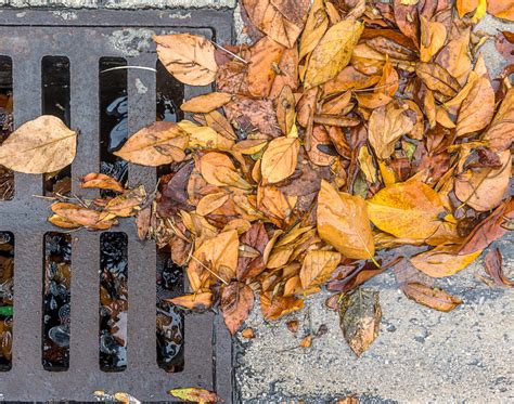 Sewer Blockages Sydney Blocked Drain Group