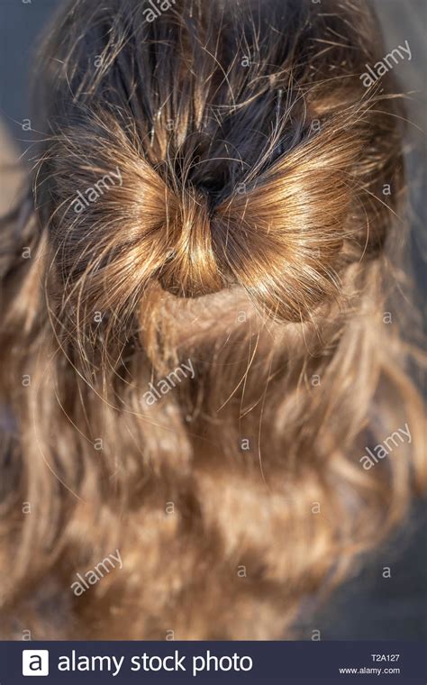 Blonde Haare Polnische Frau Fotos Und Bildmaterial In Hoher Aufl Sung Alamy