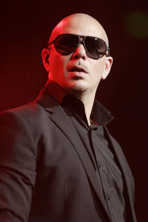 Pitbull Rappeur Wikip Dia