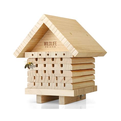 Wildlife Friend I Hôtel Pour Abeilles En Bois Naturel Hôtel Pour