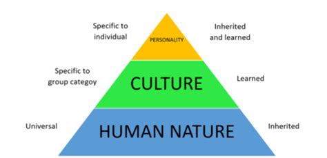 Module 2 Multicultural Multicultural Diversity In The Workplace