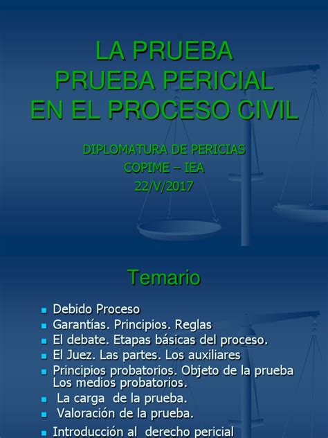 La Prueba Pericial Pdf Testigo Experto Evidencia Ley