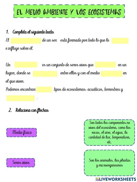 Ejercicio De Medio Ambiente Y Ecosistema Tipos De Ecosistemas