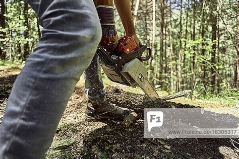 Holzf Ller Beim Schneiden Von Baumst Mmen Mit Einer Elektrischen