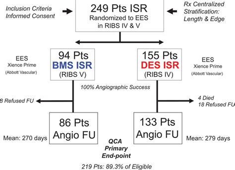 Everolimus Eluting Stents In Patients With Bare Metal And Drug Eluting