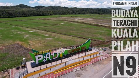 Perkampungan Budaya Jelapang Padi Di Terachi Kuala Pilah Drone View