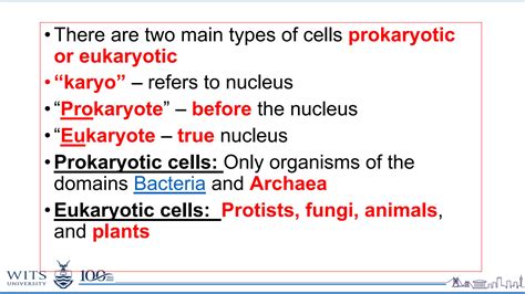 Solution Prokaryotic Vs Eukaryotic Cells Studypool