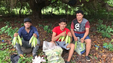 Bueno Aki Ya Descansando Con Los Bichos Despu S De Sacar Los Youtube