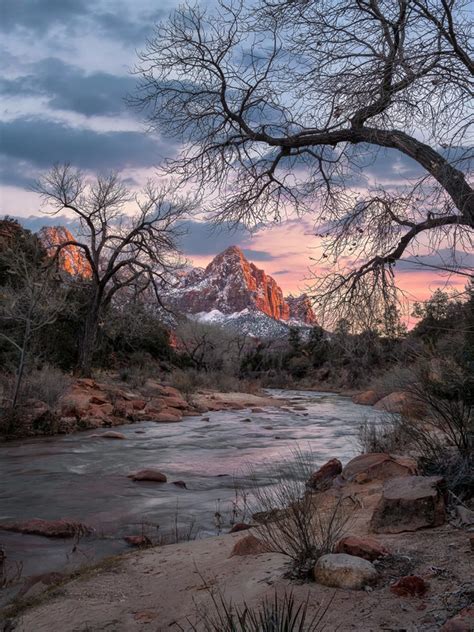 Visiting Zion National Park in Winter – Insider's Utah