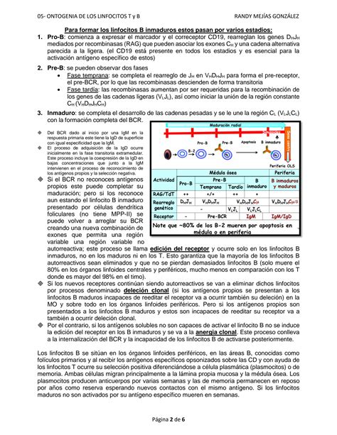 Solution Ontogenia De Los Linfocitos T B Tolerancia Inmunol Gica