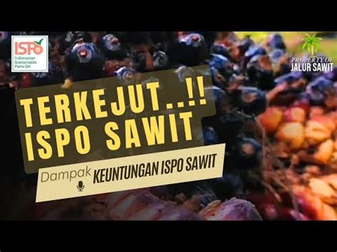 ISPO SawitHijaukan Dunia Panen Kemakmuran ISPO Sawit Membuka Jalan