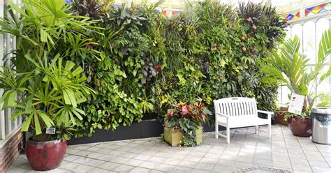 A Guide to Choosing Conservatory Plants • Conservatory Craftsmen