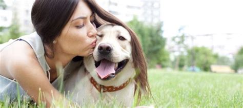 Los pros y los contras de tener mascota en casa Tu Hogar México