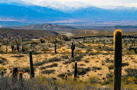 Quando Andare In Argentina Clima Periodo Migliore E Mesi Da Evitare