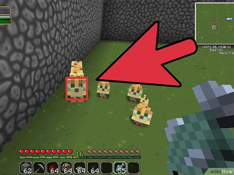 Cómo domesticar un ocelote en Minecraft 10 Pasos