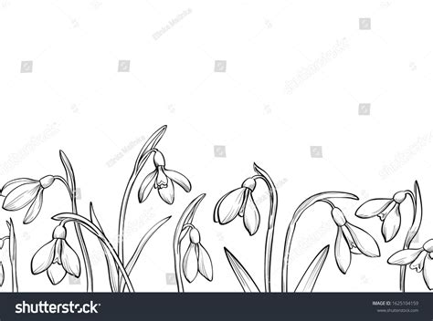 Snowdrop Border Stock Vectors Images Vector Art Shutterstock