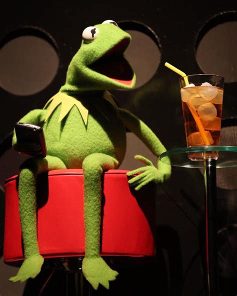 Kermit the Frog gives a TEDx Talk, and Twitter loves it | TED Blog