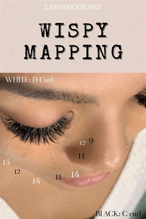 Lash Map D Curl and C Curl Wispy Extensões de cílios Cílios