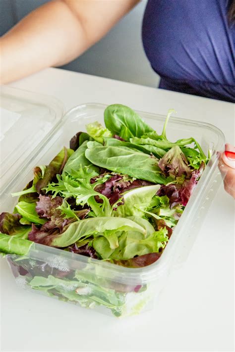 How To Keep Salad Greens Fresh Fed And Fit