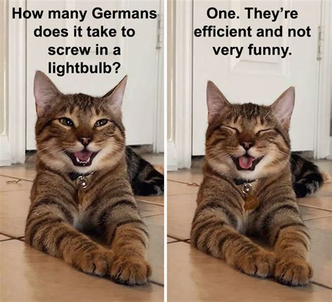 Owner Uploads Photos Of Their Laughing Cat And It Becomes The New ‘dad Joke Meme 21 Pics