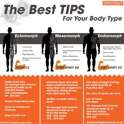 Types Of Body Builder Body Types - AMAZING BODYBUILDING