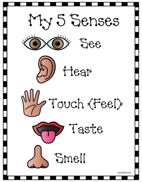 Printable 5 Senses Craft