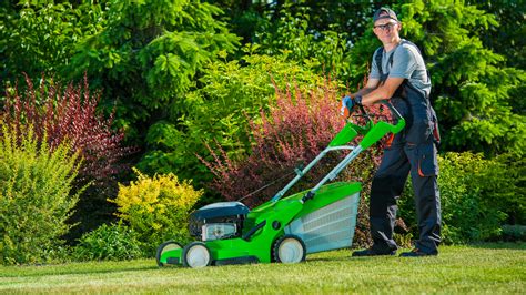 Spring Lawn Care Tips Sld