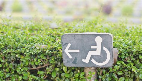 seating legalbeaglecom