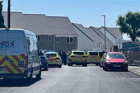 A38 Murder Accused Who Hid From Police In Loft Says Van Driver Is Solely To Blame Plymouth Live