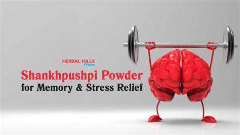 Shankhpushpi Powder One Of The Prominent Herbal Brain Supplements