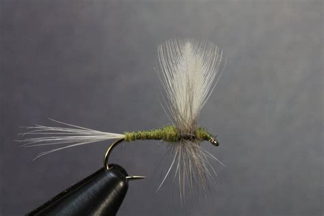 Fly Fishing and Fly Tying