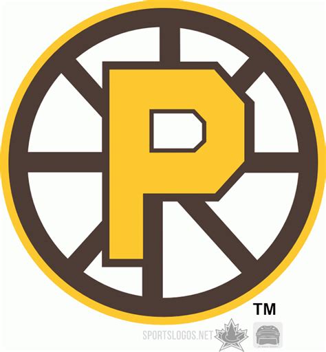 Providence Bruins Logo - Alternate Logo - American Hockey League (AHL ...