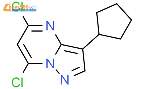 845895 94 5 PYRAZOLO 1 5 A PYRIMIDINE 5 7 DICHLORO 3 CYCLOPENTYL CAS号