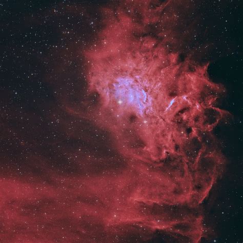 Ic Flaming Star Nebula Astronomie De Der Treffpunkt F R Astronomie