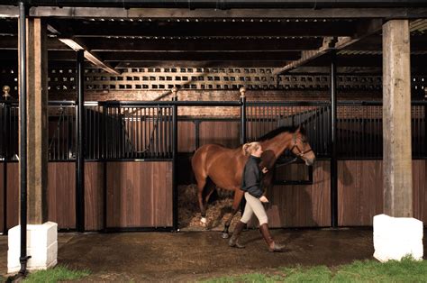 Loddon Equestrian Limited Raveningham Norwich Norfolk Gallery