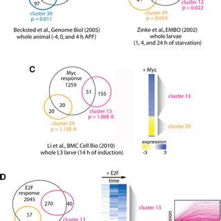 Motif Enrichment Validations Gene Clusters With Significant Motif