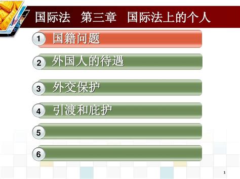 国际公法第三章 Pptword文档在线阅读与下载无忧文档