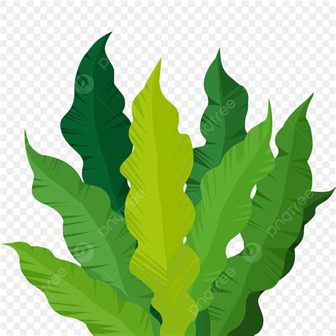 Algas Verdes Png Dibujos Algas Planta Marina Verde Png Y Psd Para