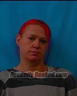 Recent Booking Mugshot For MELISSA SUE DAVIS In Jerome County Idaho