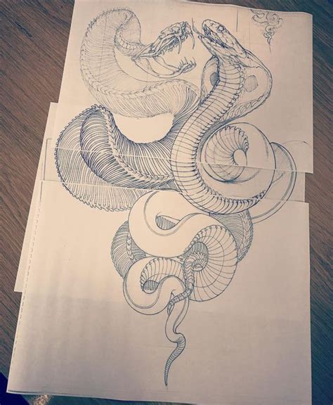 Pin By Iren Shotidi On Snakes Snake Tattoo Design Snake Drawing