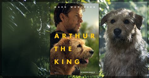 Arthur The King Review A Charming Movie With Lots Of Heart