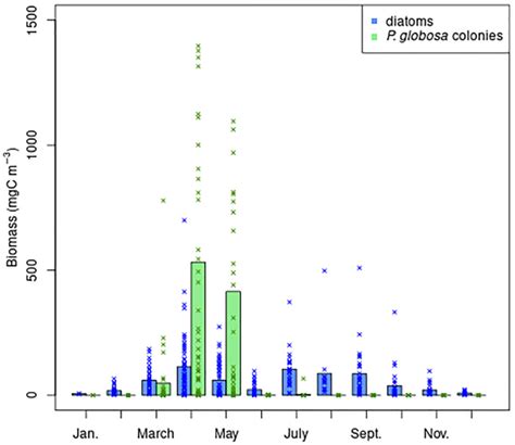 Monthly Climatology Of Diatoms And P Globosa Carbon Biomass In Belgian