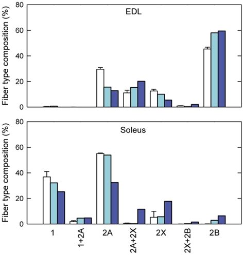 Fiber Type Compositions Of EDL And Soleus Muscles From Mice Housed In