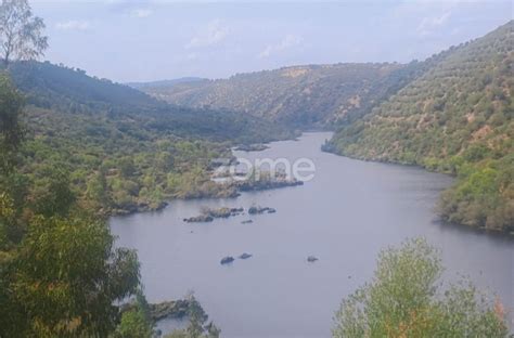 Herdade De Hectares No Alentejo Montalv O Olx Portugal